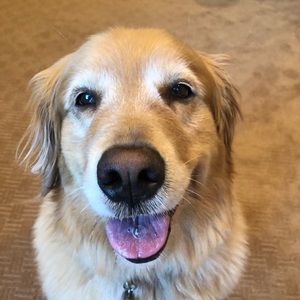 Meet your Posher, Abbey